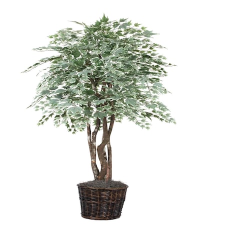 Dare2Decor Silver Maple Executive Everyday Tree - 6 ft. DA140313